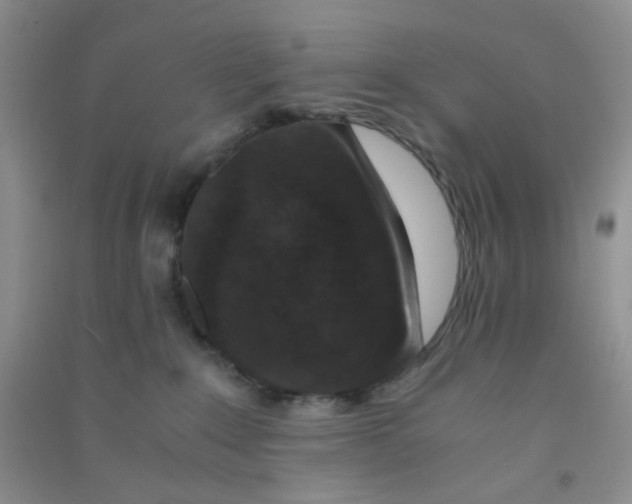 X0000090700235200708171853