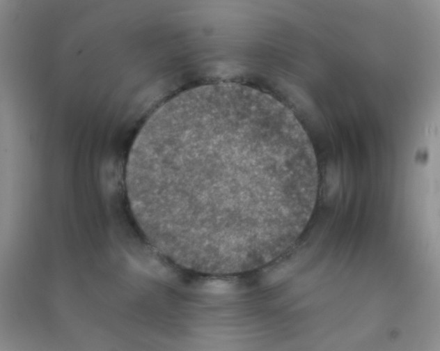 X0000090700236200708171853