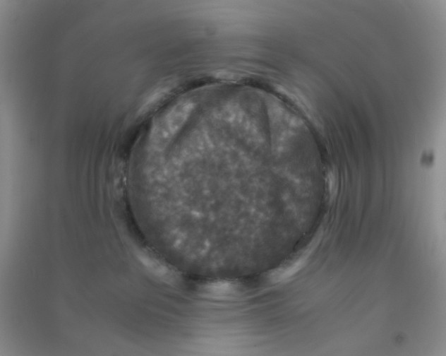 X0000090700237200708171853