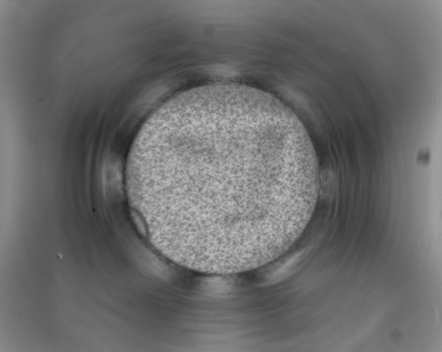 X0000090700238200708171853