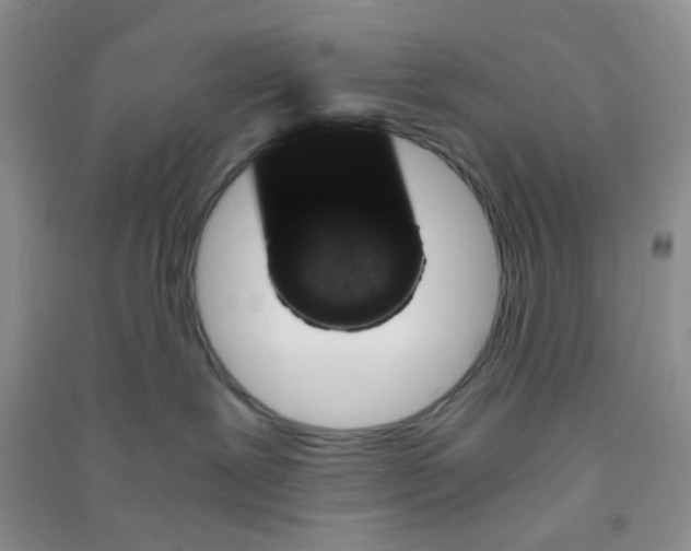 X0000090700239200708171853