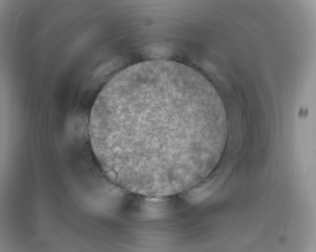 X0000090700240200708171853