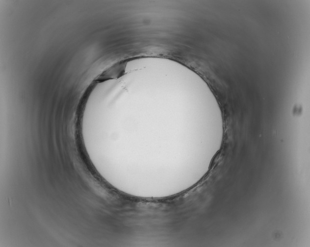 X0000090700242200708171852