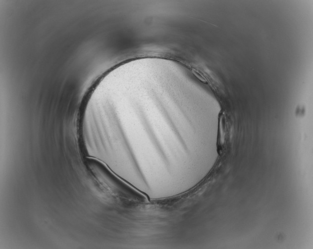 X0000090700244200708171852