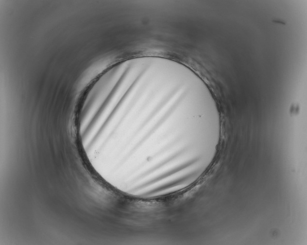 X0000090700245200708171852