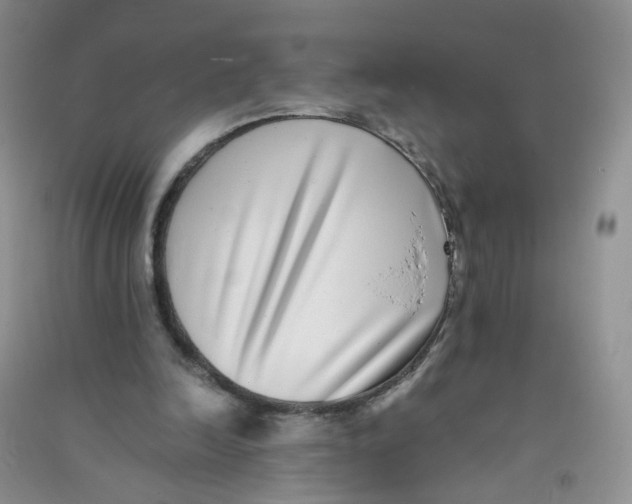 X0000090700246200708171852