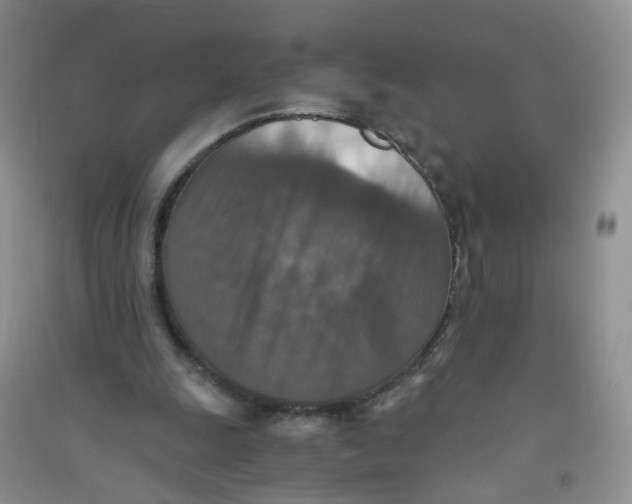 X0000090700247200708171852