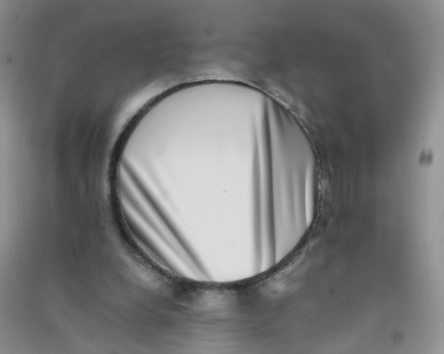 X0000090700248200708171852