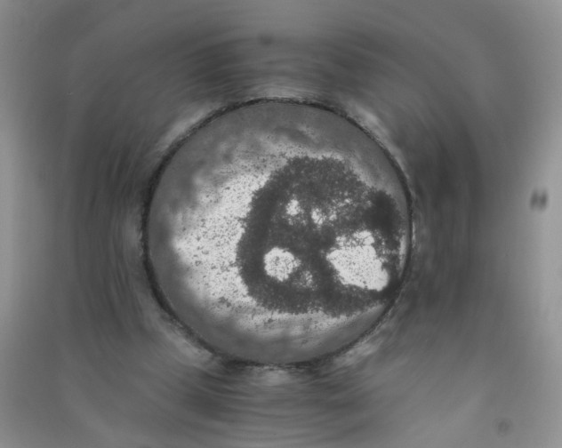 X0000090700249200708171852