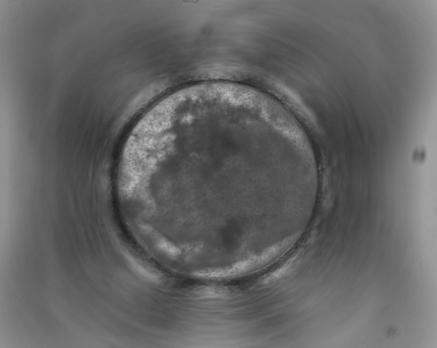 X0000090700250200708171852