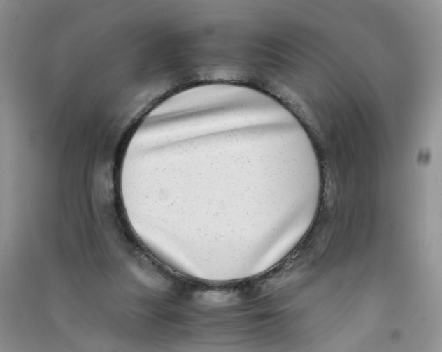 X0000090700251200708171852