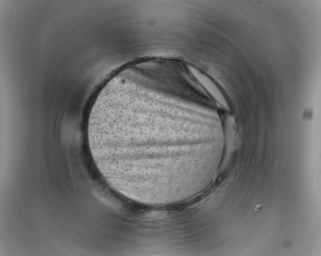 X0000090700252200708171852