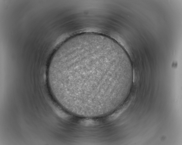 X0000090700253200708171852