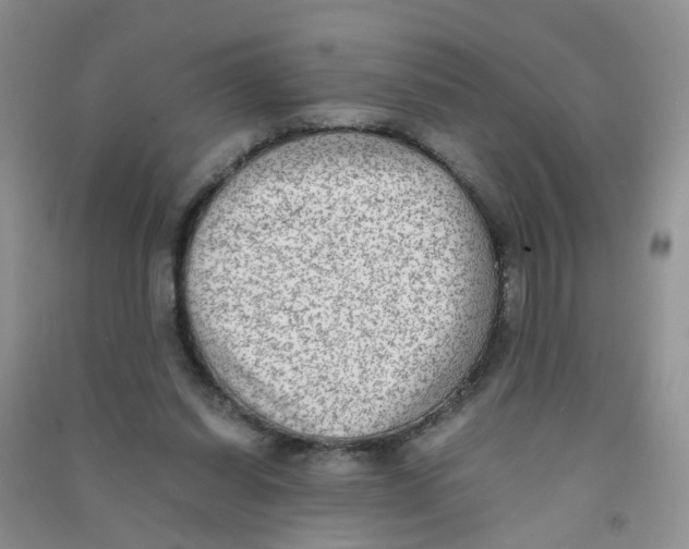 X0000090700254200708171852