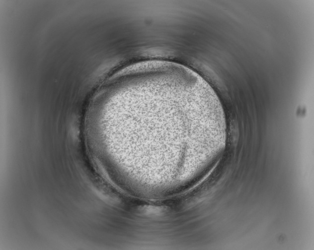 X0000090700255200708171852