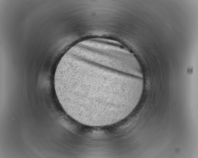 X0000090700256200708171852