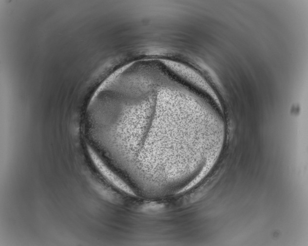 X0000090700257200708171852