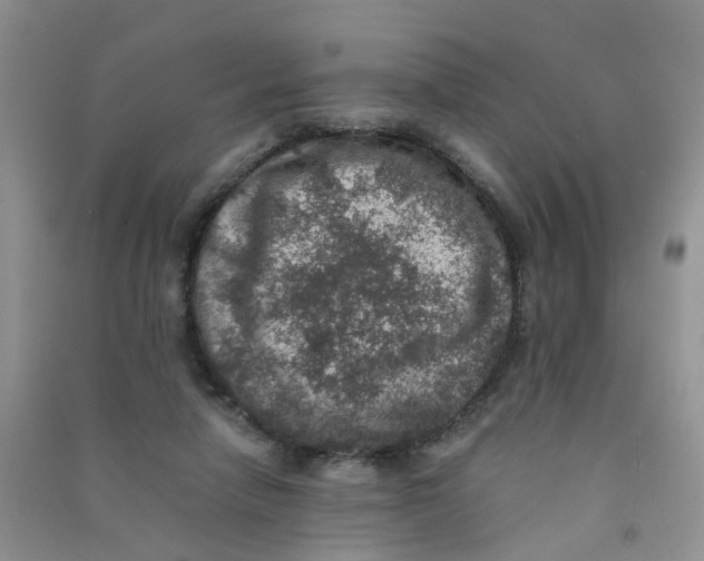 X0000090700258200708171852