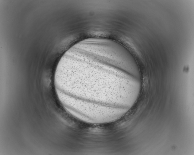 X0000090700259200708171852