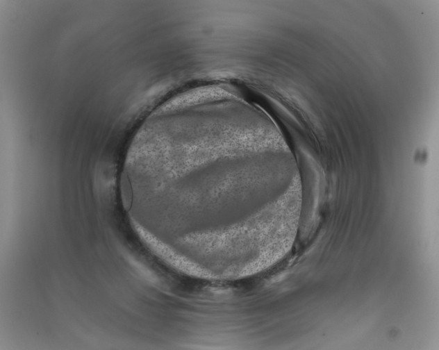 X0000090700260200708171852