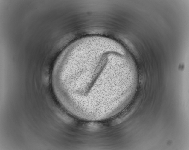 X0000090700261200708171852