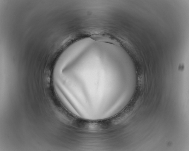 X0000090700264200708171852