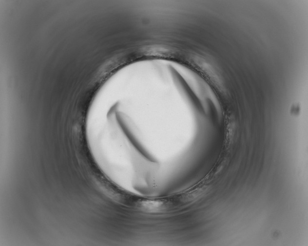 X0000090700265200708171852