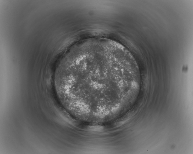 X0000090700266200708171852