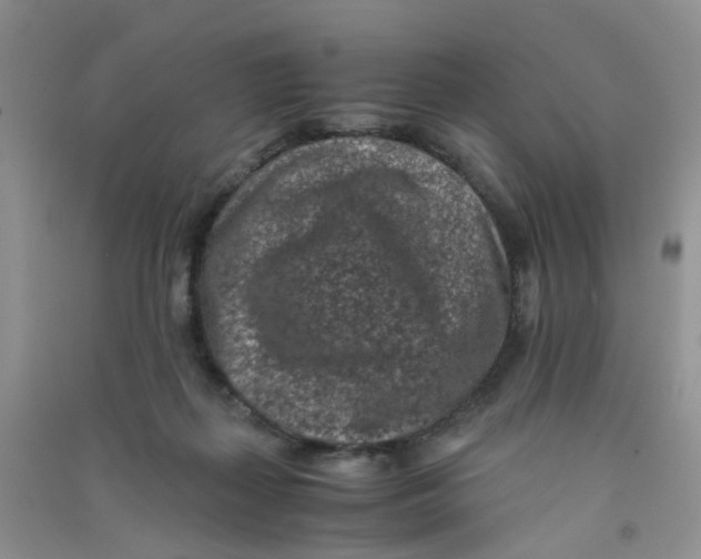 X0000090700267200708171852