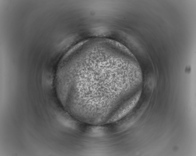 X0000090700268200708171852