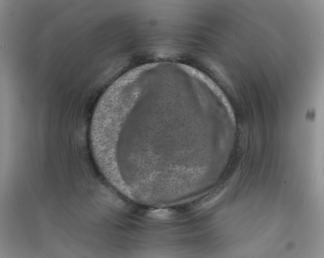 X0000090700269200708171852