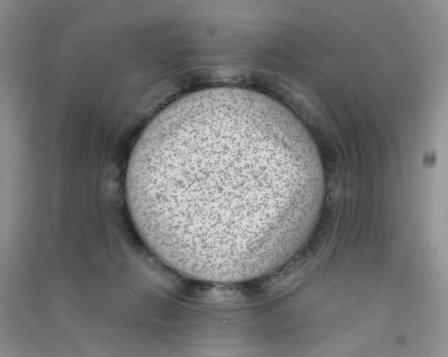 X0000090700270200708171852