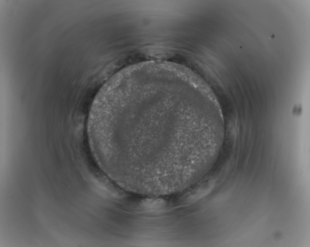 X0000090700271200708171852