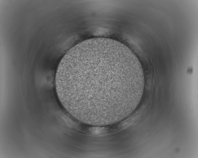 X0000090700273200708171852