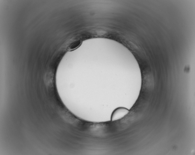 X0000090700274200708171852