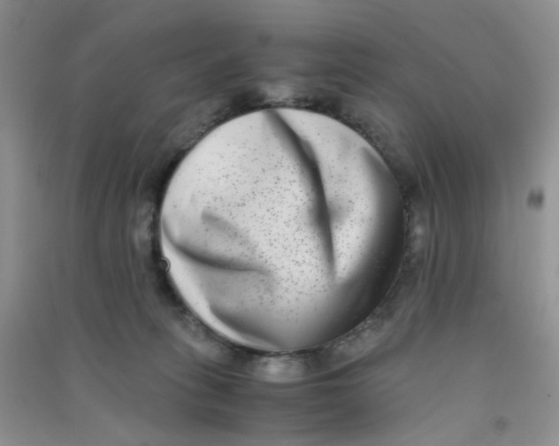 X0000090700275200708171852