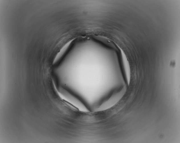 X0000090700276200708171852