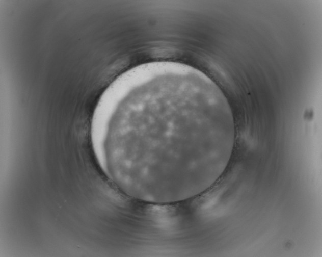 X0000090700277200708171852