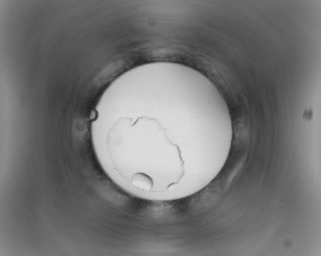 X0000090700278200708171852