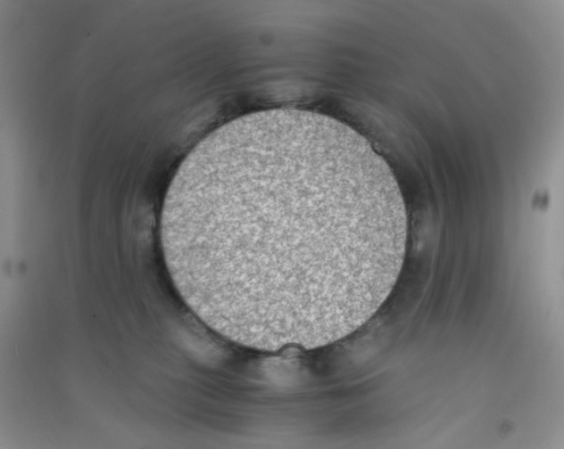 X0000090700279200708171852