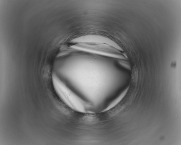 X0000090700280200708171852