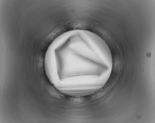 X0000090700282200708171852