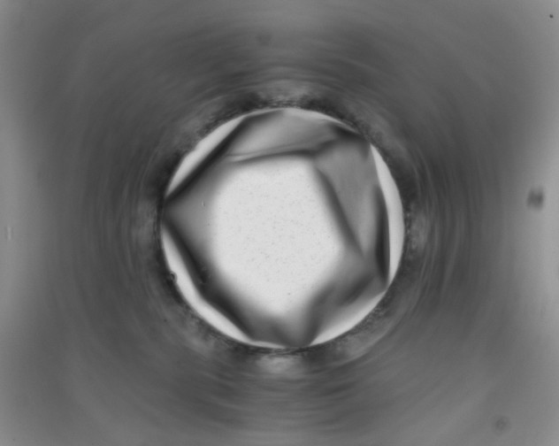 X0000090700283200708171852