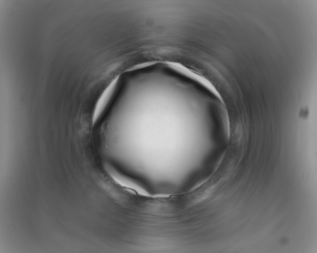 X0000090700284200708171852