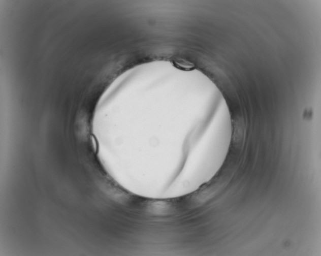 X0000090700287200708171852