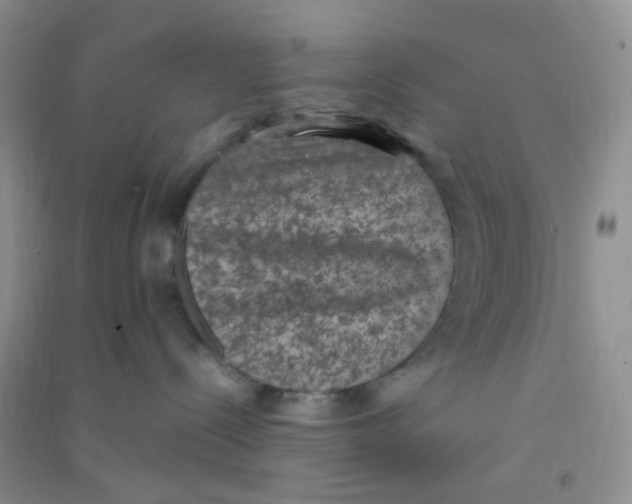 X0000090700288200708171852