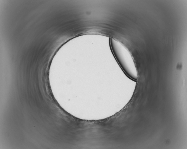 X0000090700289200708171852