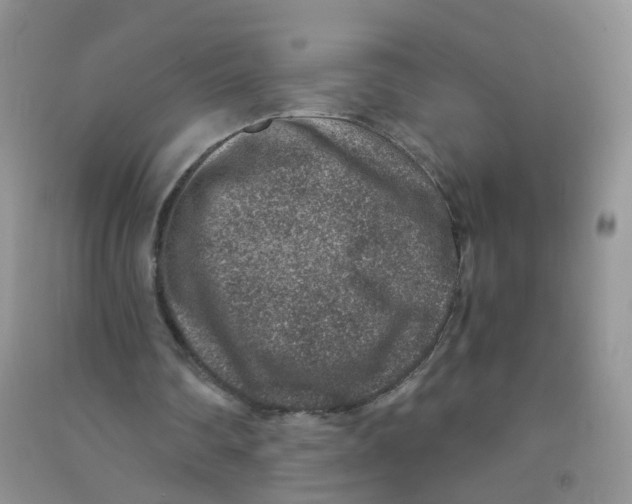 X0000090700290200708171852