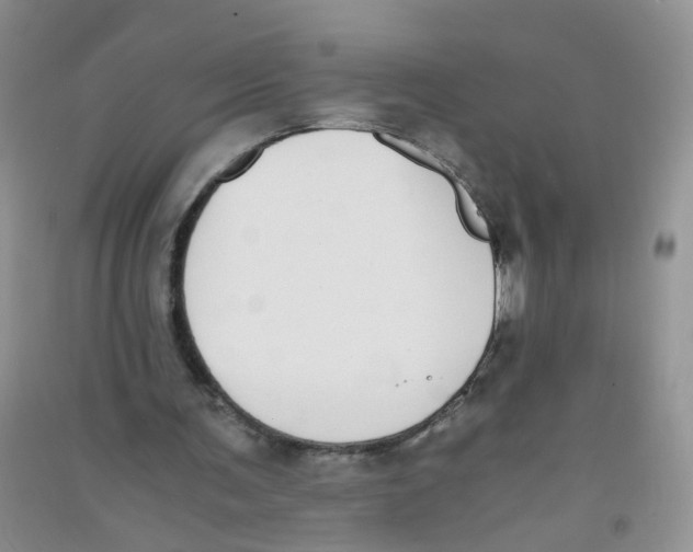 X0000090700291200708171852