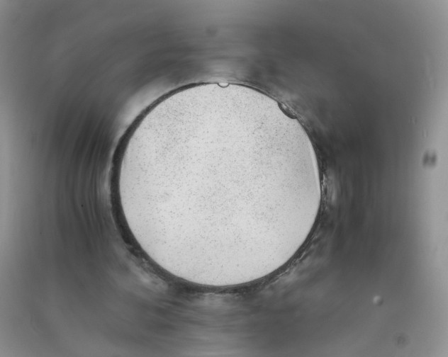 X0000090700292200708171852